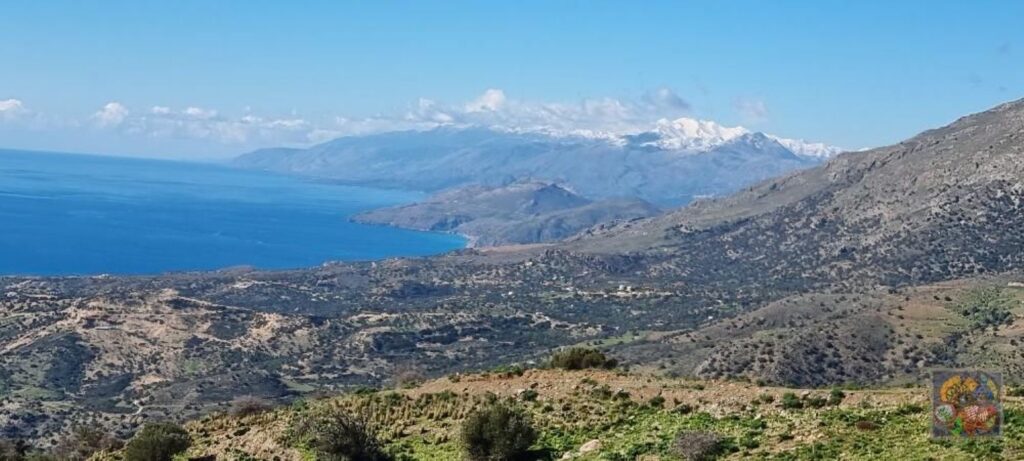 Foto der Immobilie (76539)