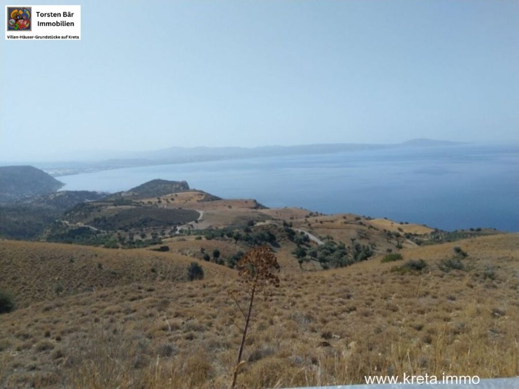 Foto der Immobilie (80479)