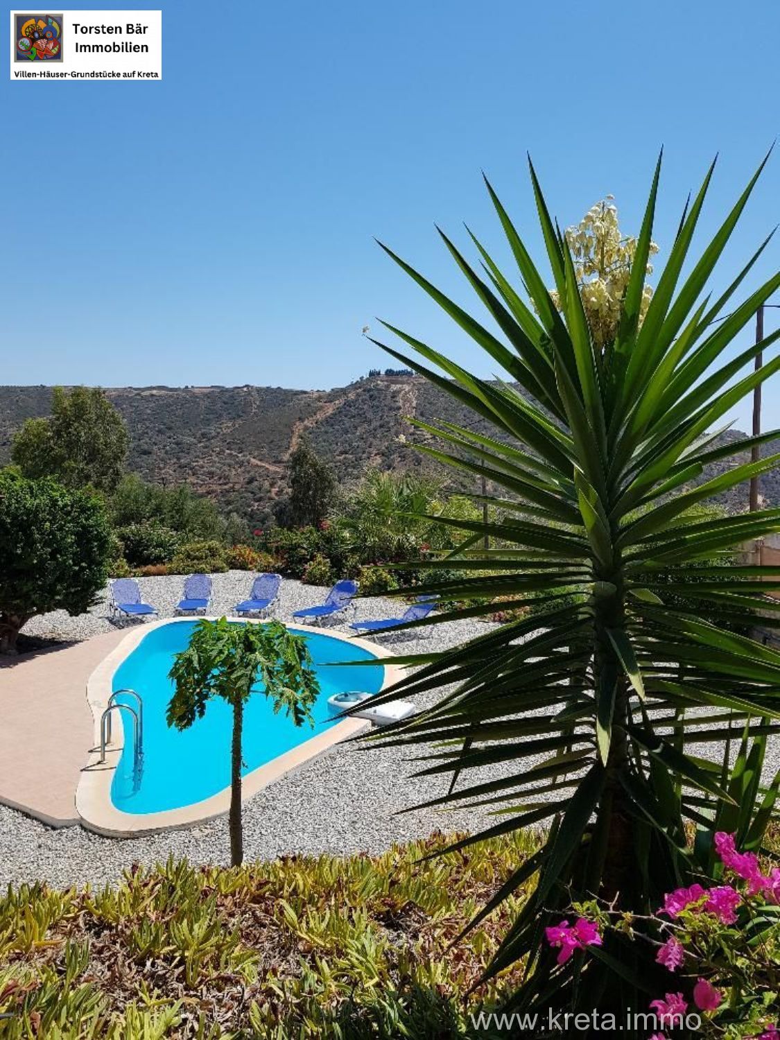 Foto der Immobilie (69469)