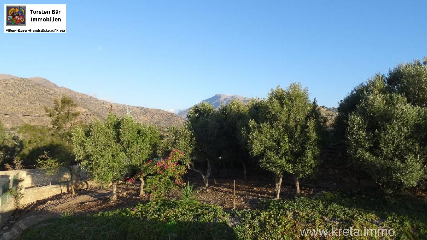 Foto der Immobilie (69506)