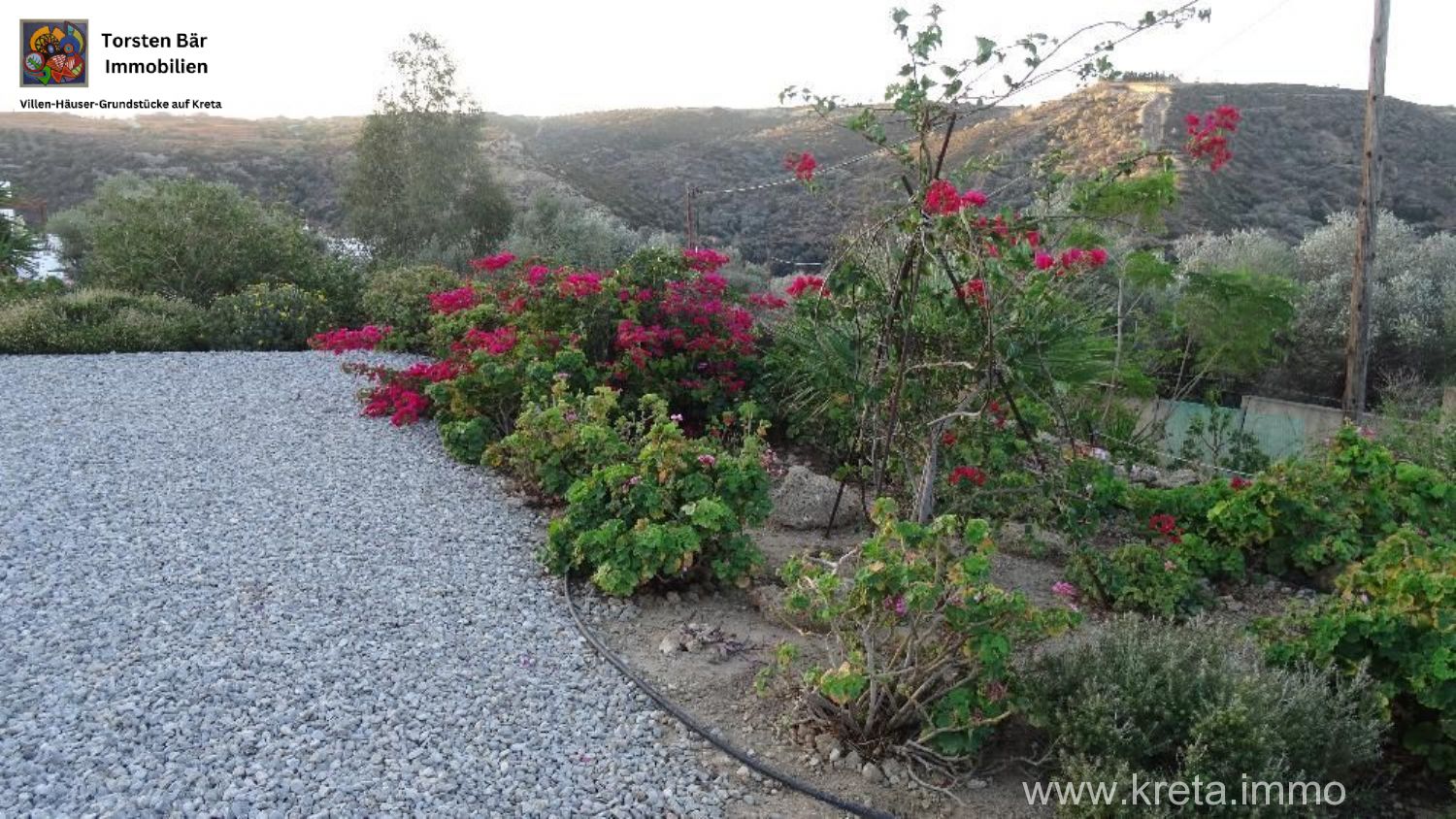 Foto der Immobilie (69507)