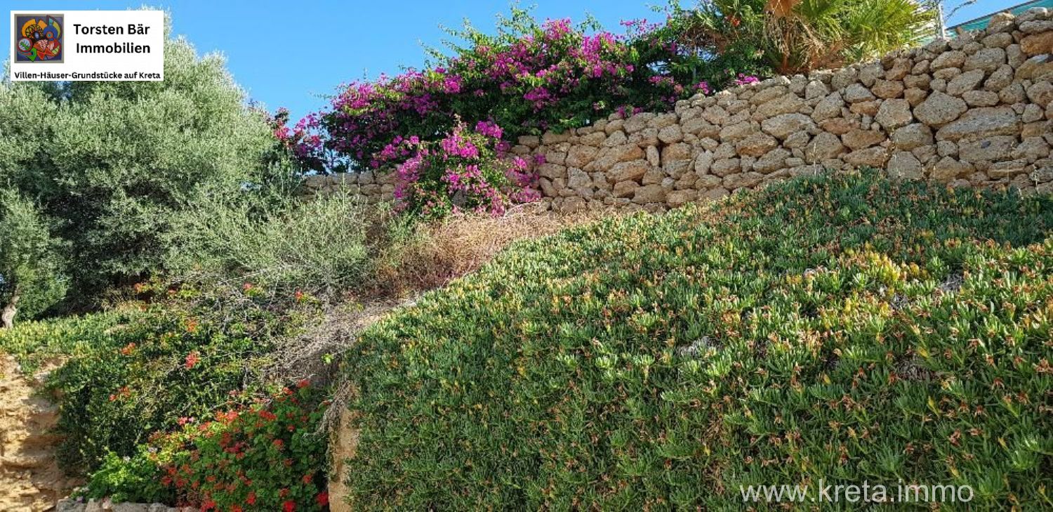 Foto der Immobilie (69508)