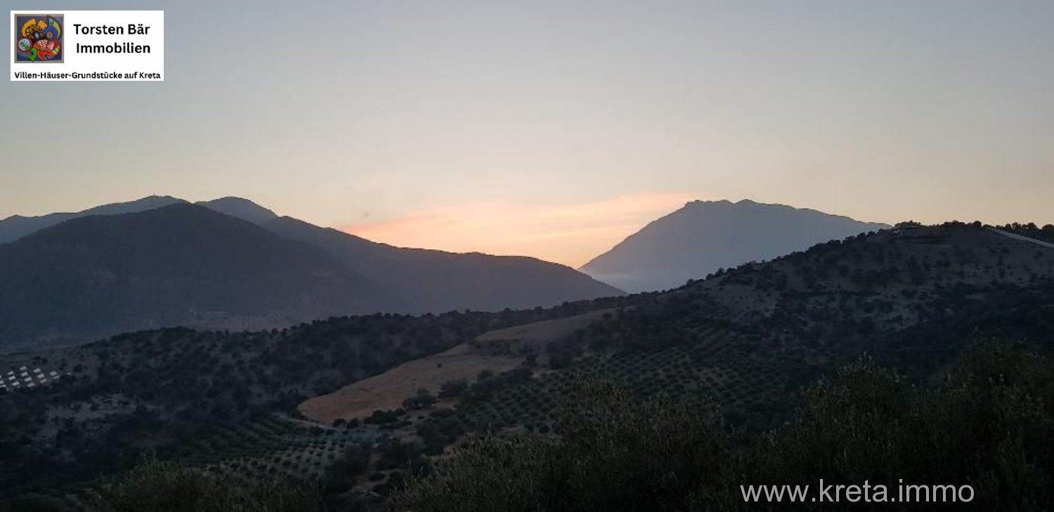 Foto der Immobilie (69509)