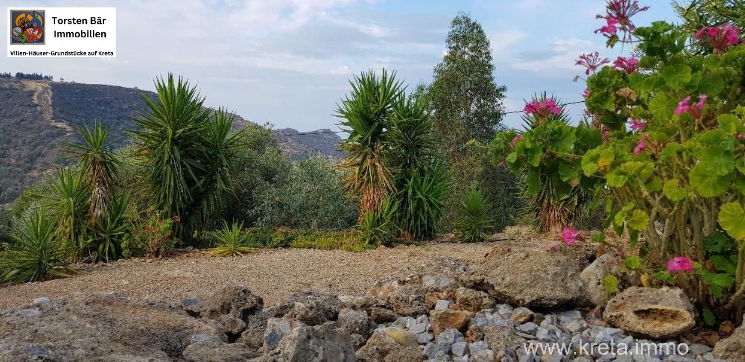 Foto der Immobilie (69511)