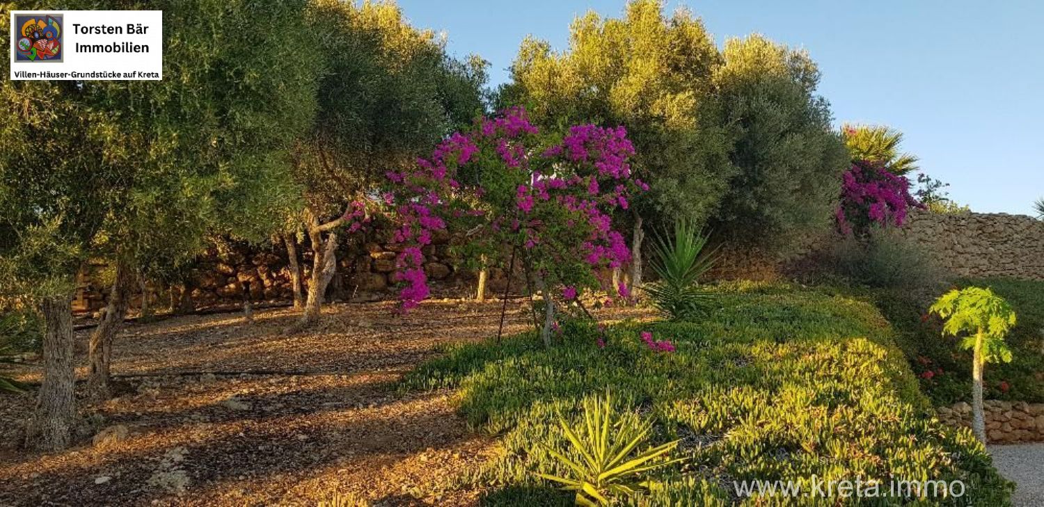 Foto der Immobilie (69512)