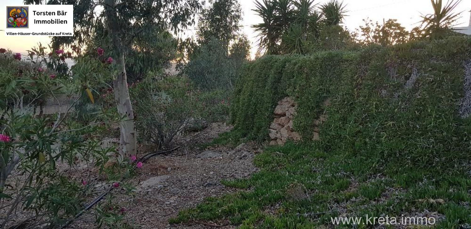 Foto der Immobilie (69514)