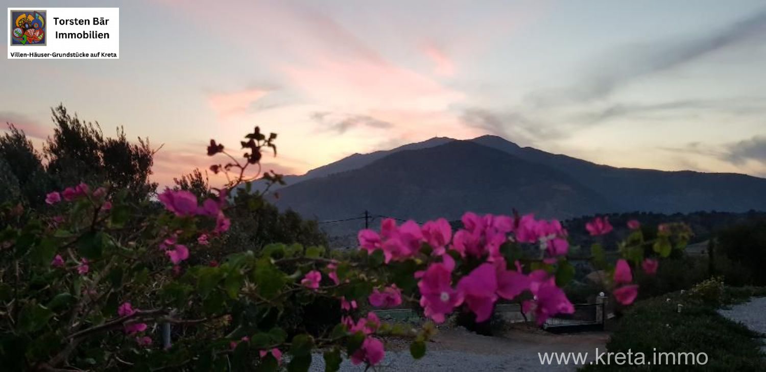 Foto der Immobilie (69518)