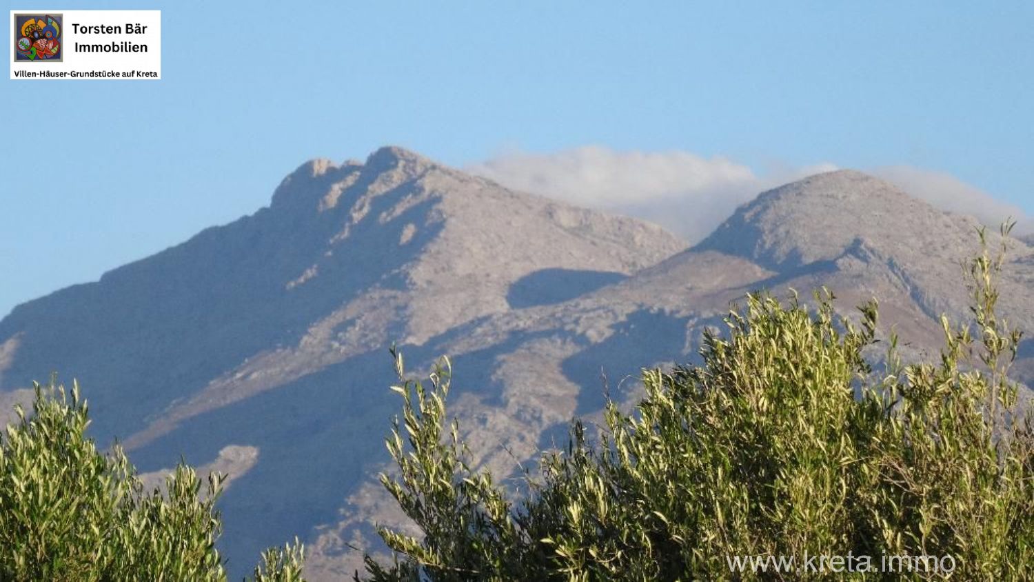 Foto der Immobilie (69520)