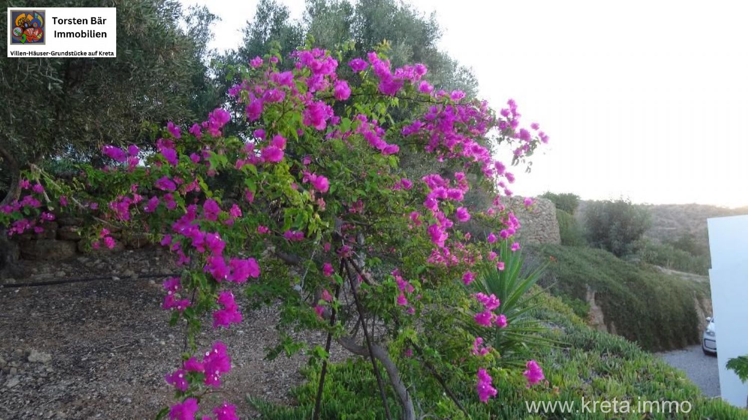 Foto der Immobilie (69524)