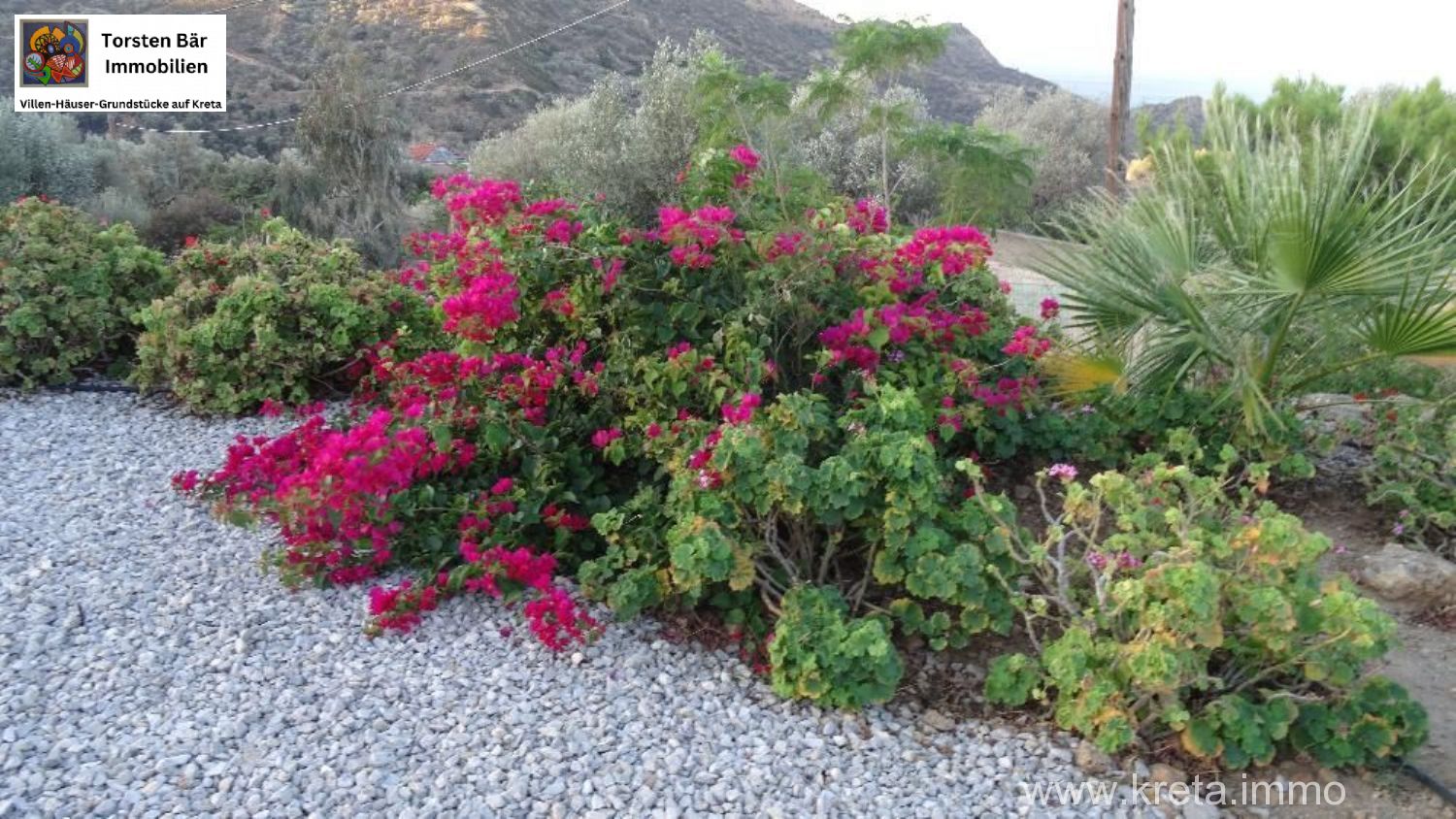 Foto der Immobilie (69525)