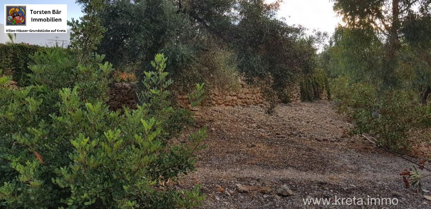 Foto der Immobilie (69528)