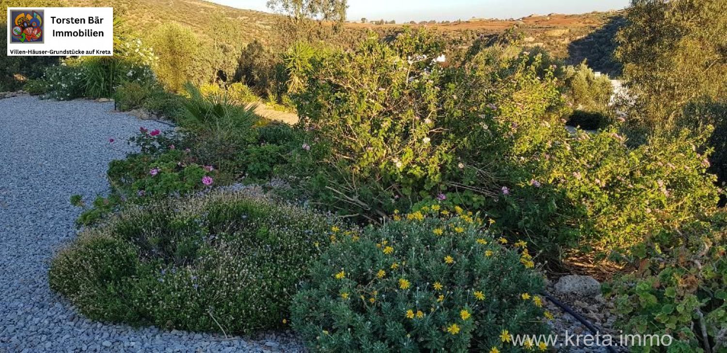 Foto der Immobilie (69533)