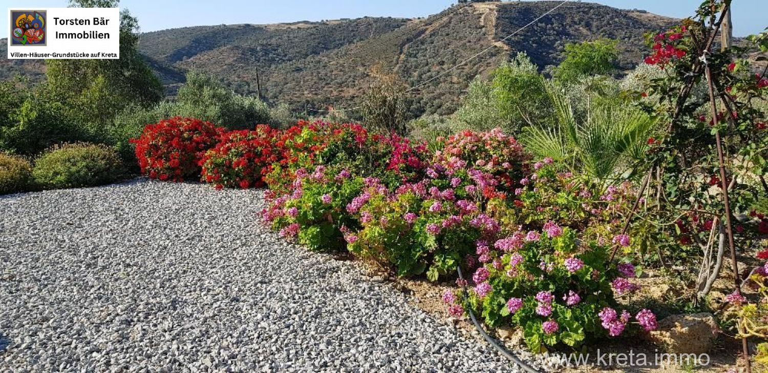 Foto der Immobilie (69535)