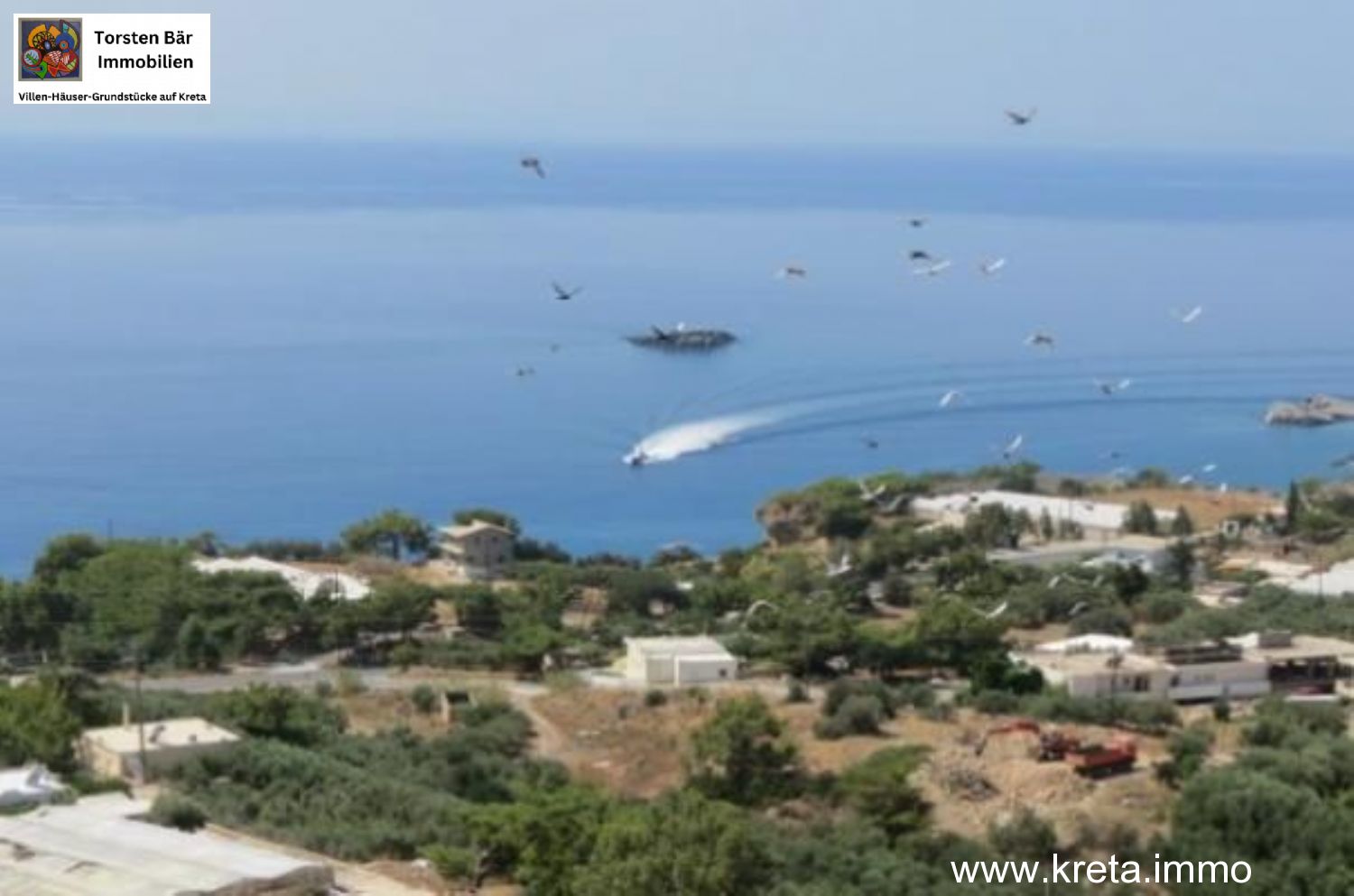 Foto der Immobilie (68932)