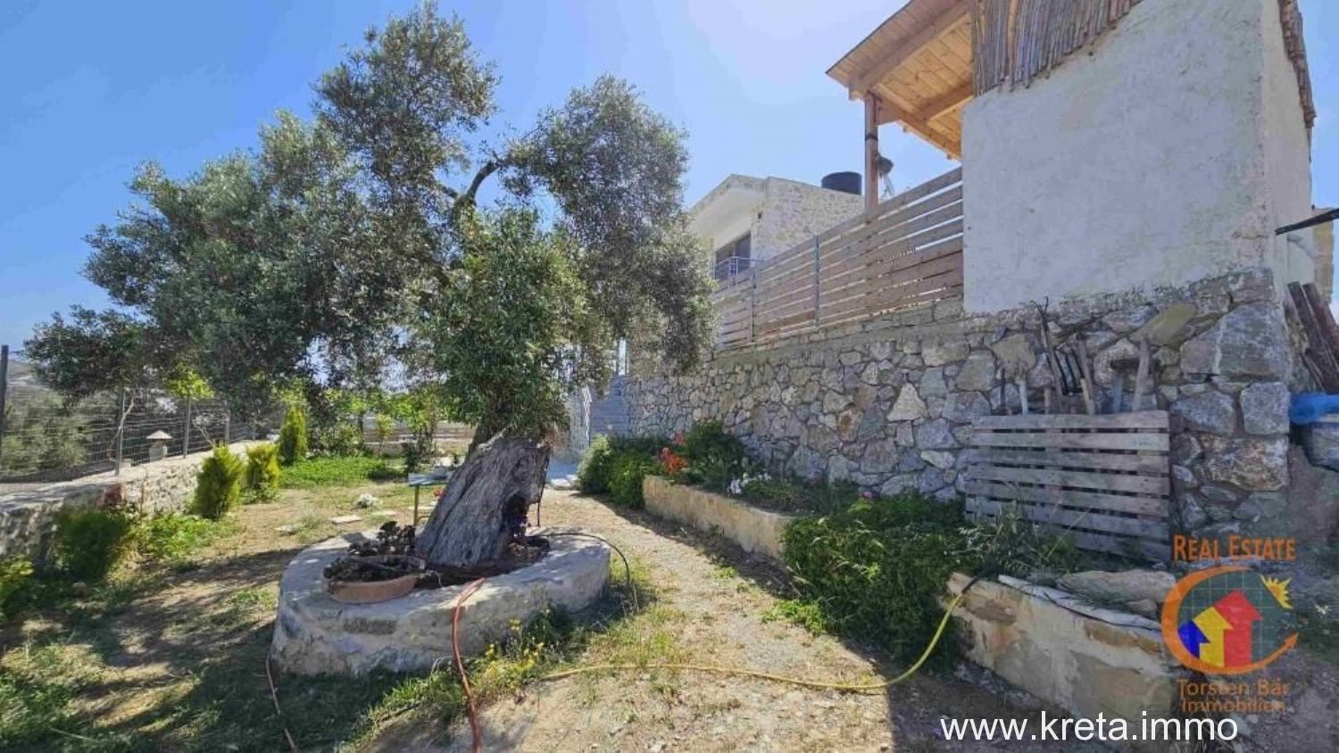 Foto der Immobilie (69619)