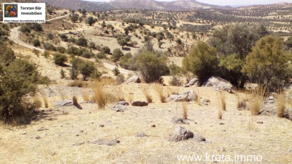 Foto der Immobilie (69601)