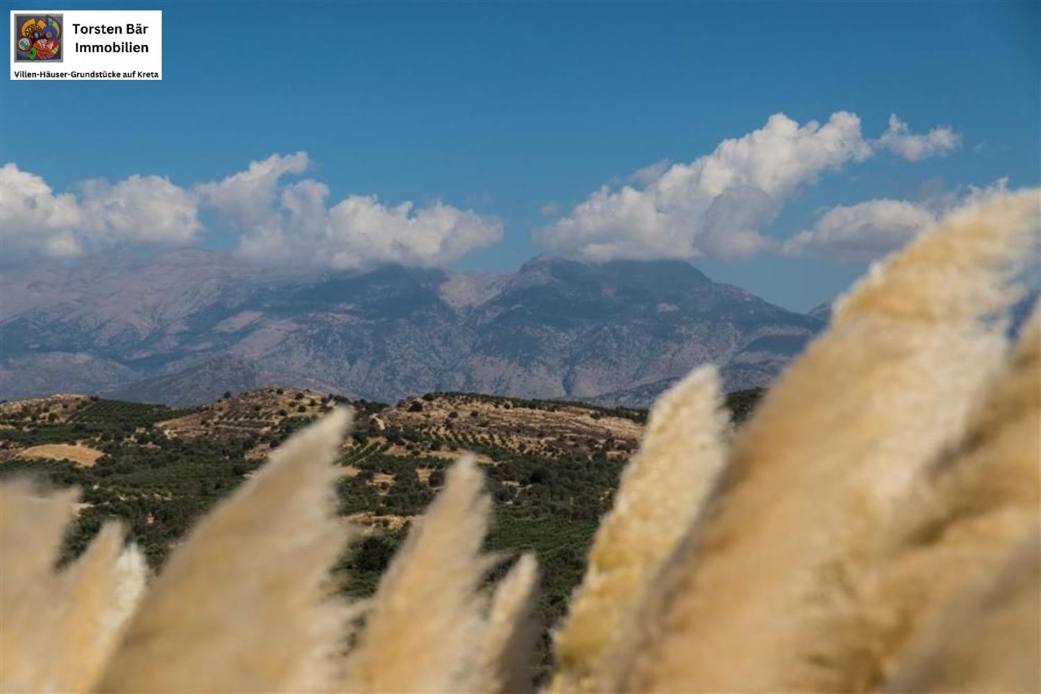 Foto der Immobilie (74586)