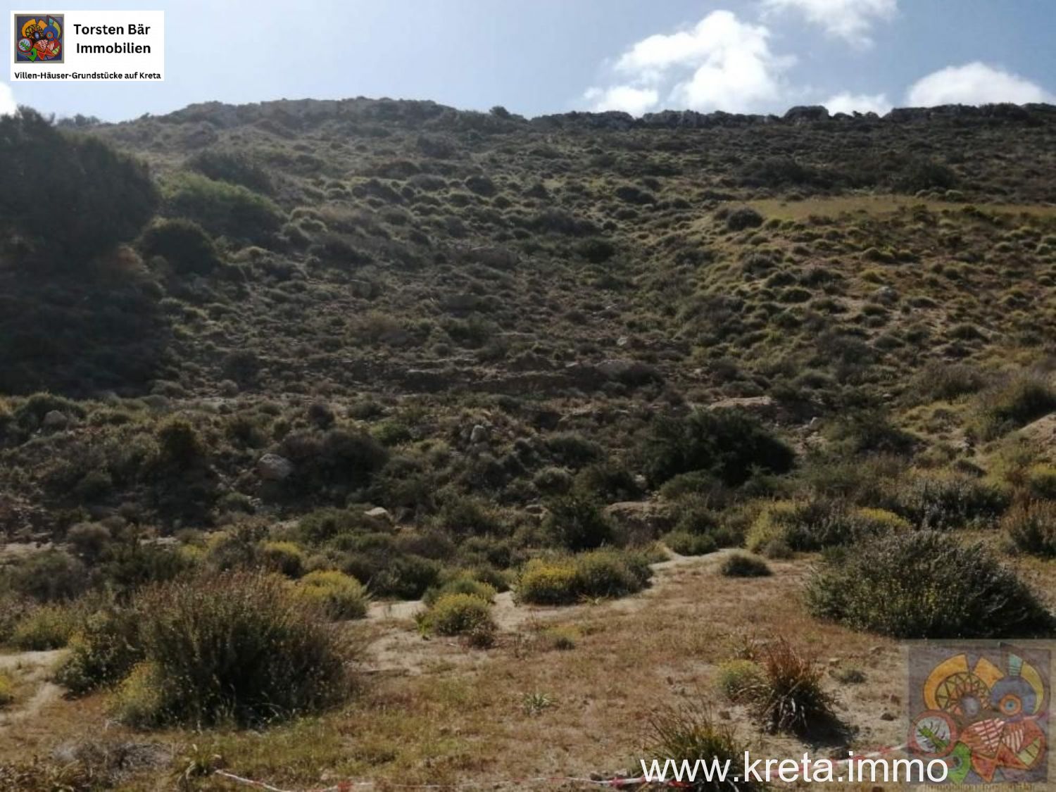 Foto der Immobilie (69422)