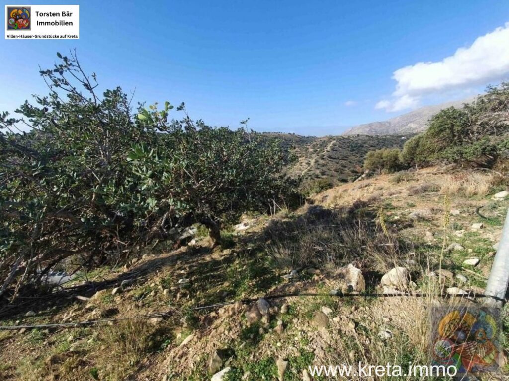 Foto der Immobilie (69429)