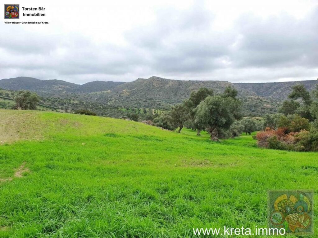 Foto der Immobilie (69547)