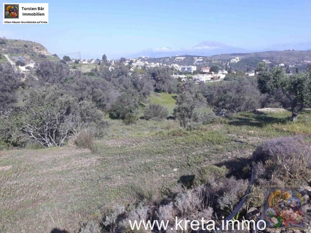 Foto der Immobilie (69551)