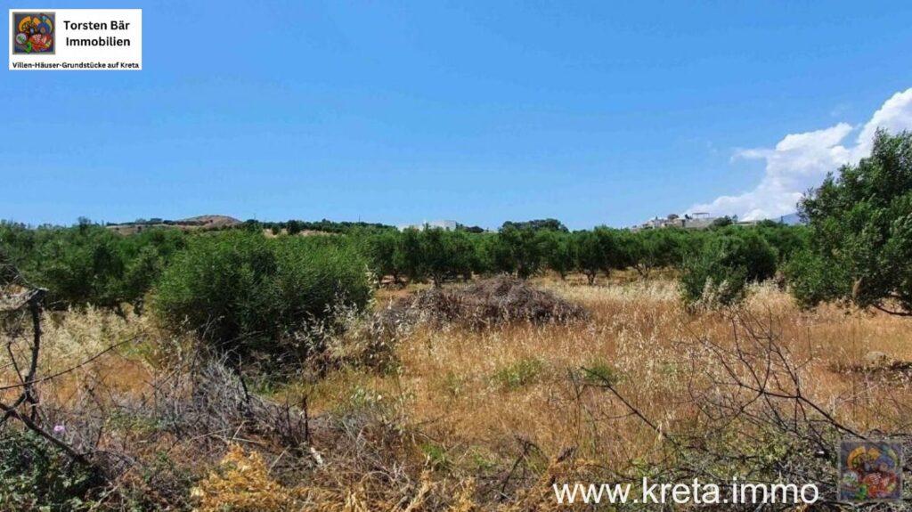 Foto der Immobilie (70262)