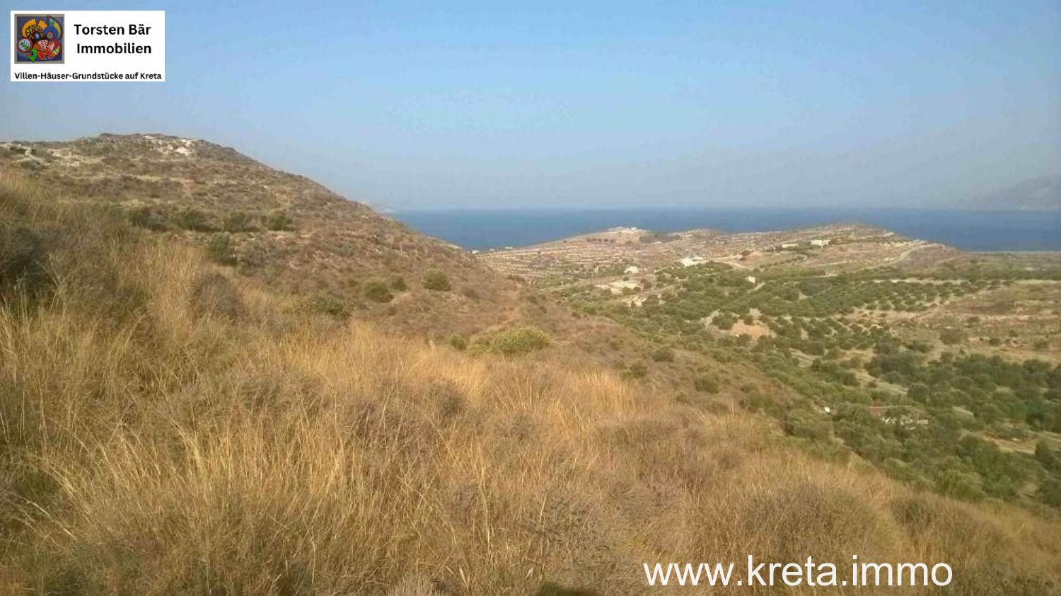 Foto der Immobilie (68951)