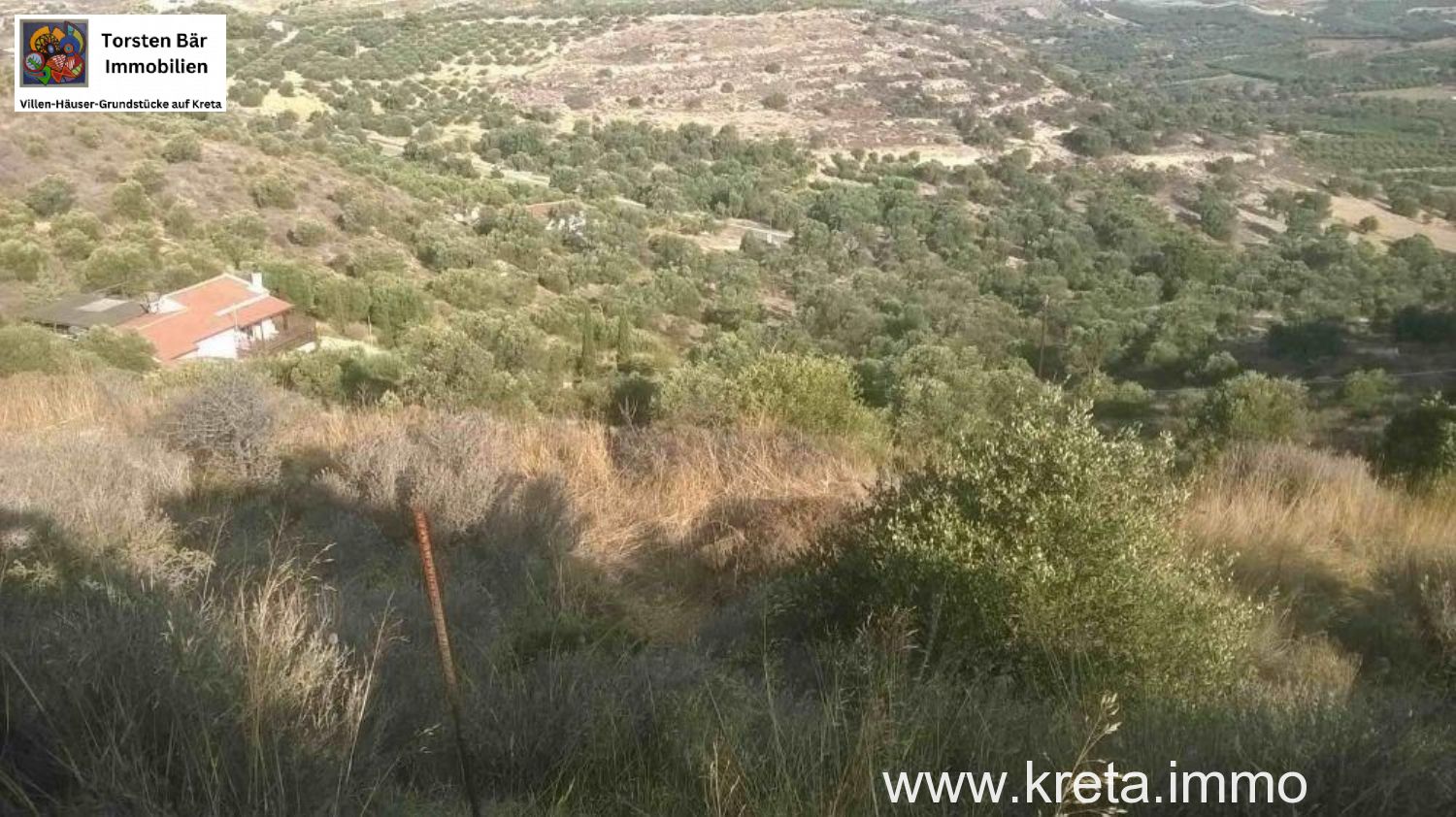 Foto der Immobilie (68953)