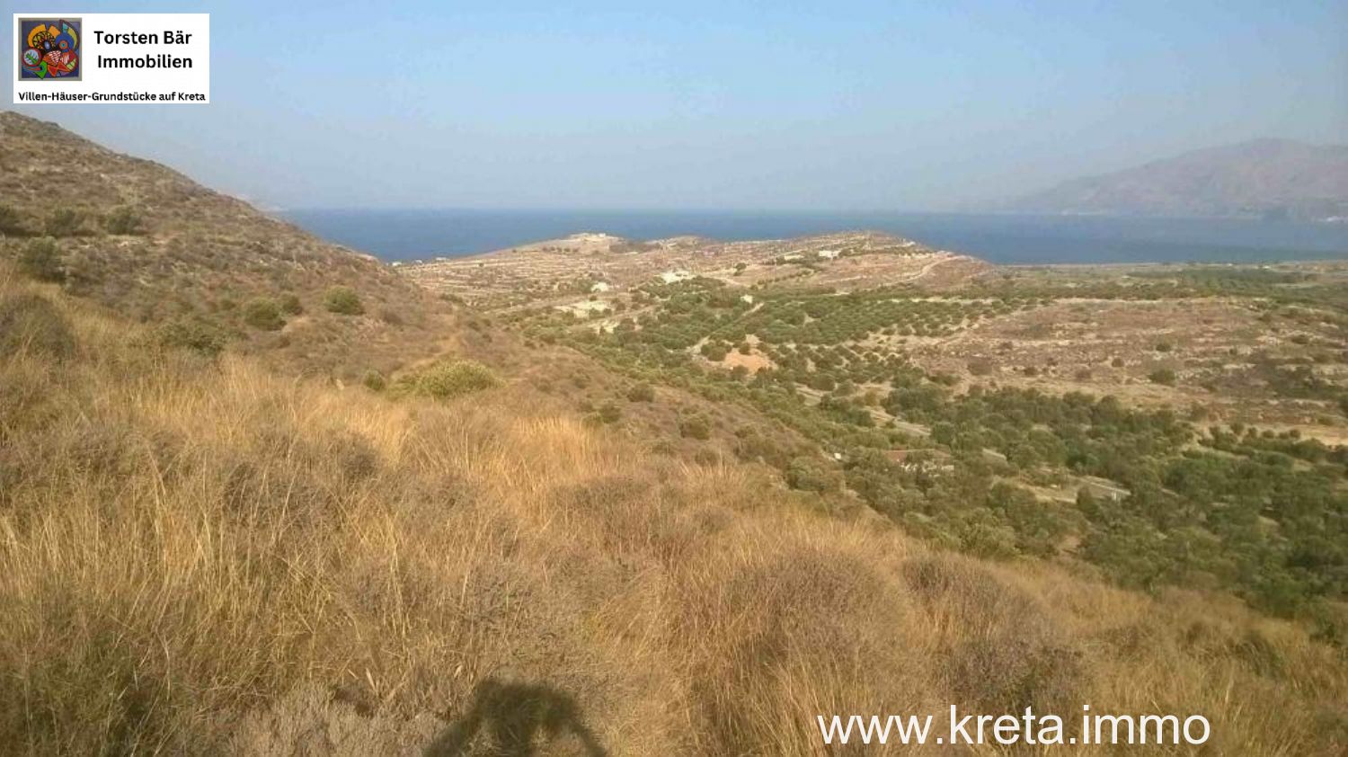 Foto der Immobilie (68955)