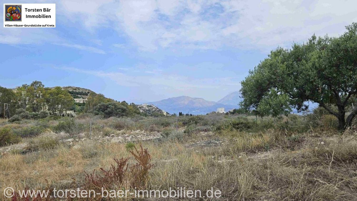 Foto der Immobilie (85118)