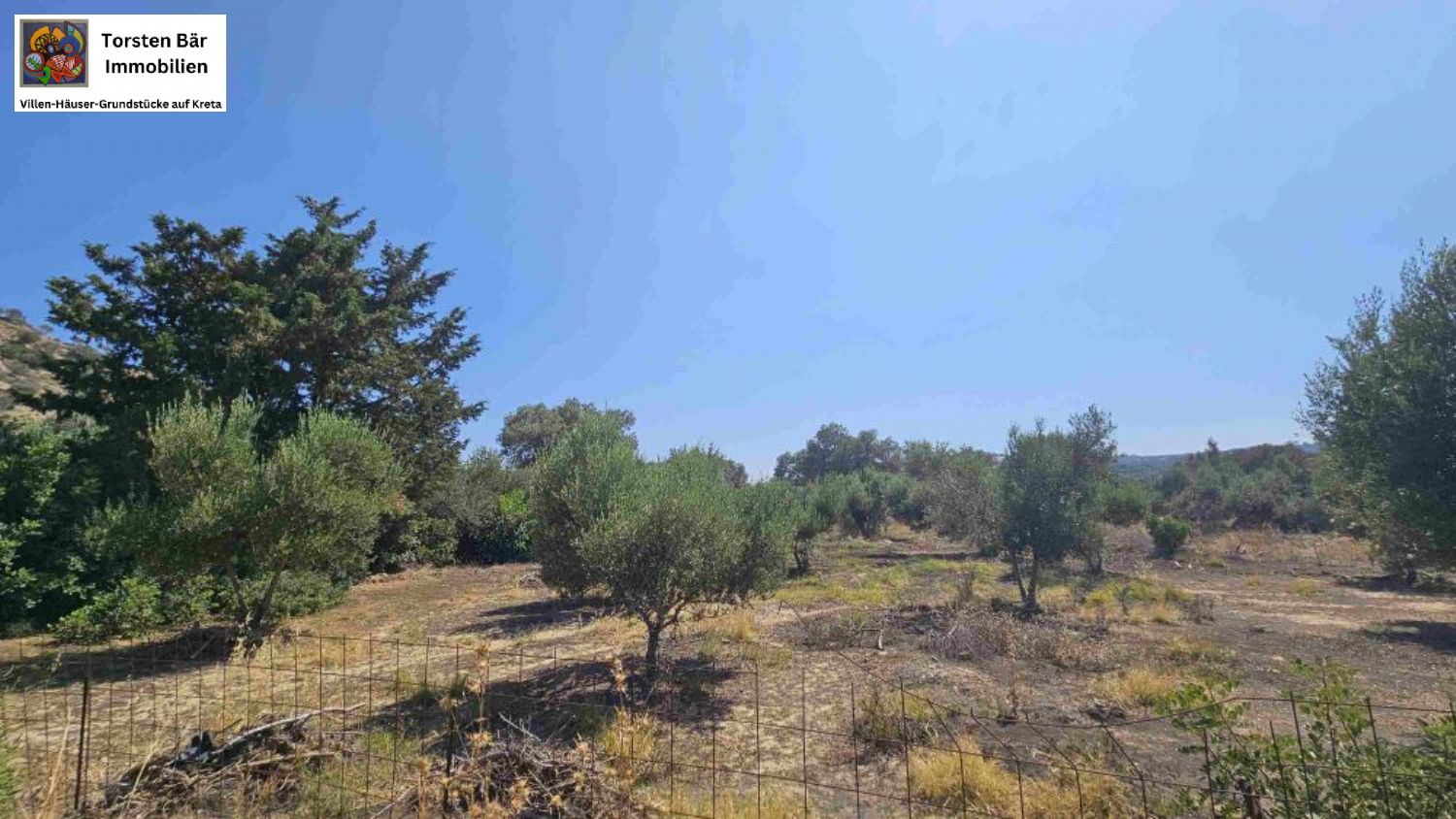 Foto der Immobilie (70612)