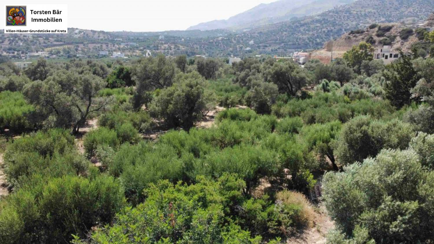 Foto der Immobilie (70615)