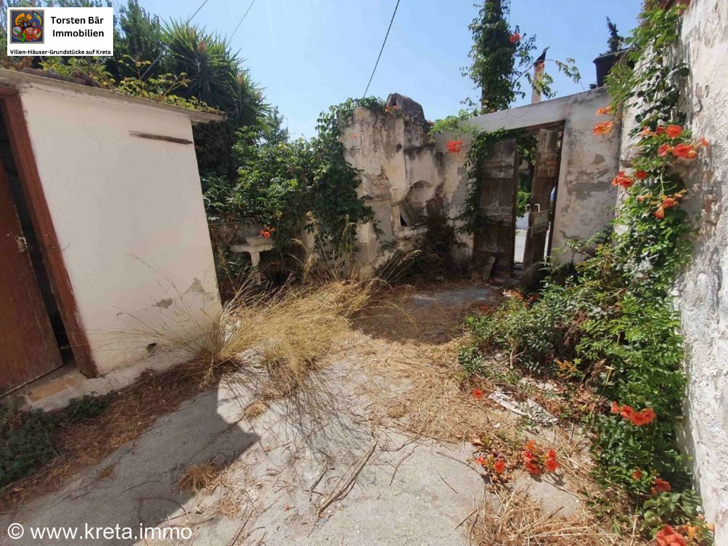 Foto der Immobilie (75272)