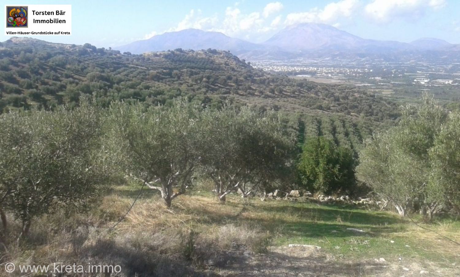 Foto der Immobilie (69593)