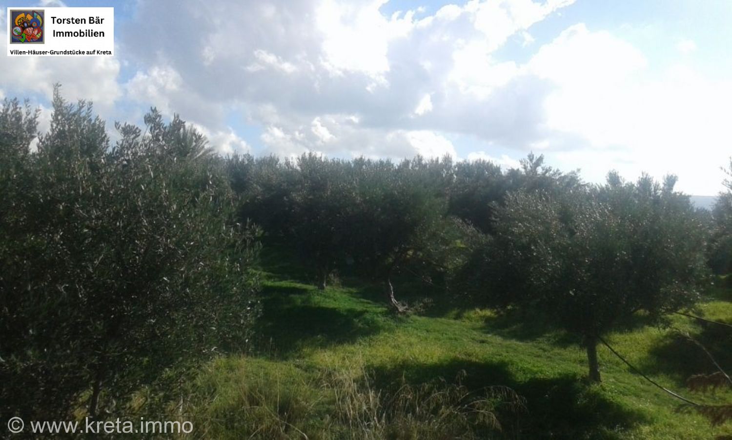 Foto der Immobilie (69594)