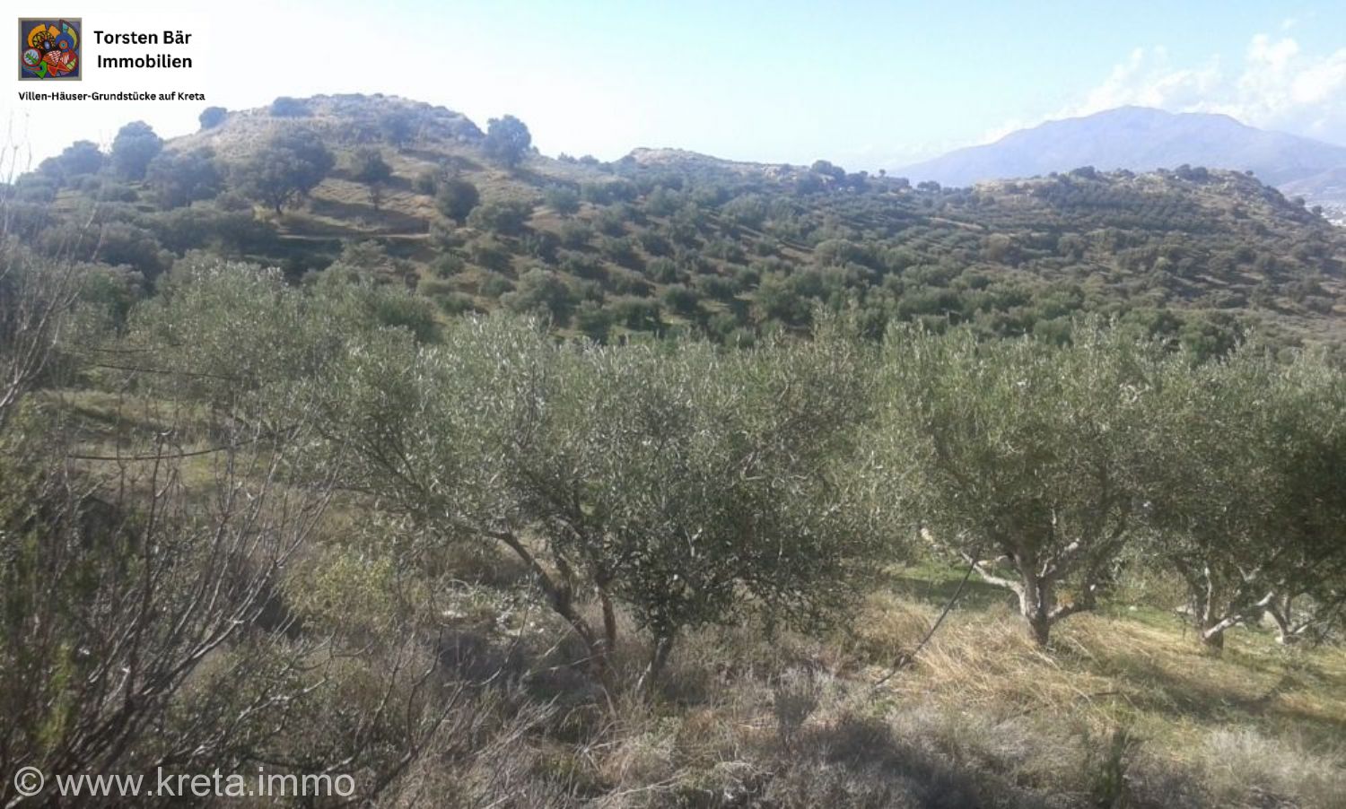 Foto der Immobilie (69595)