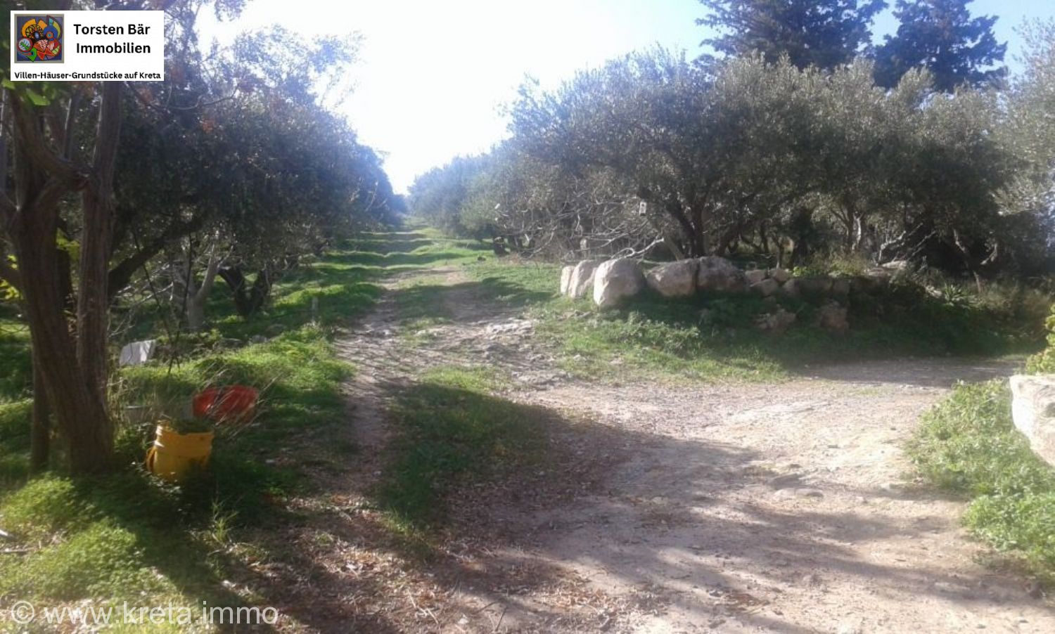 Foto der Immobilie (69597)