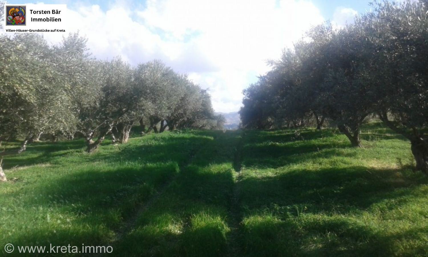 Foto der Immobilie (69600)