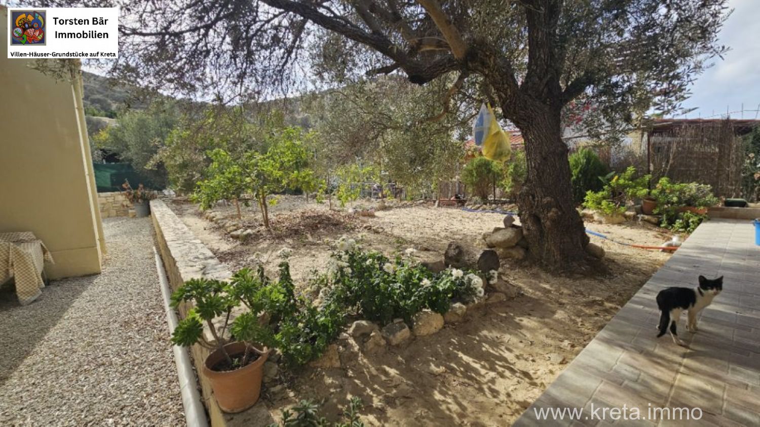 Foto der Immobilie (68545)