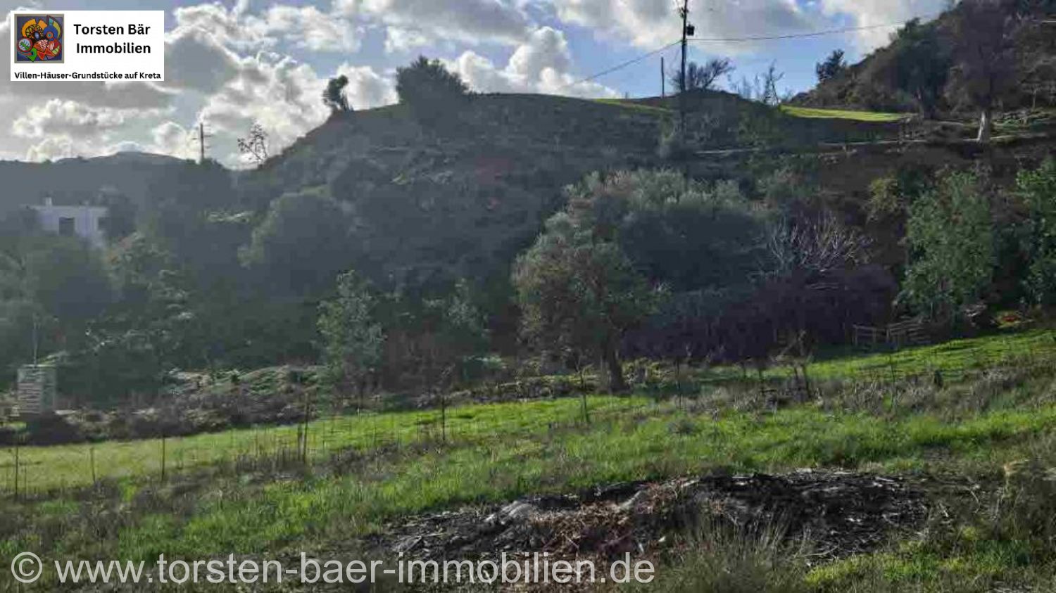Foto der Immobilie (84830)