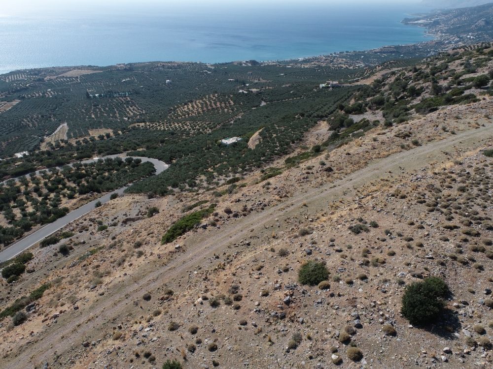 Foto der Immobilie (85025)