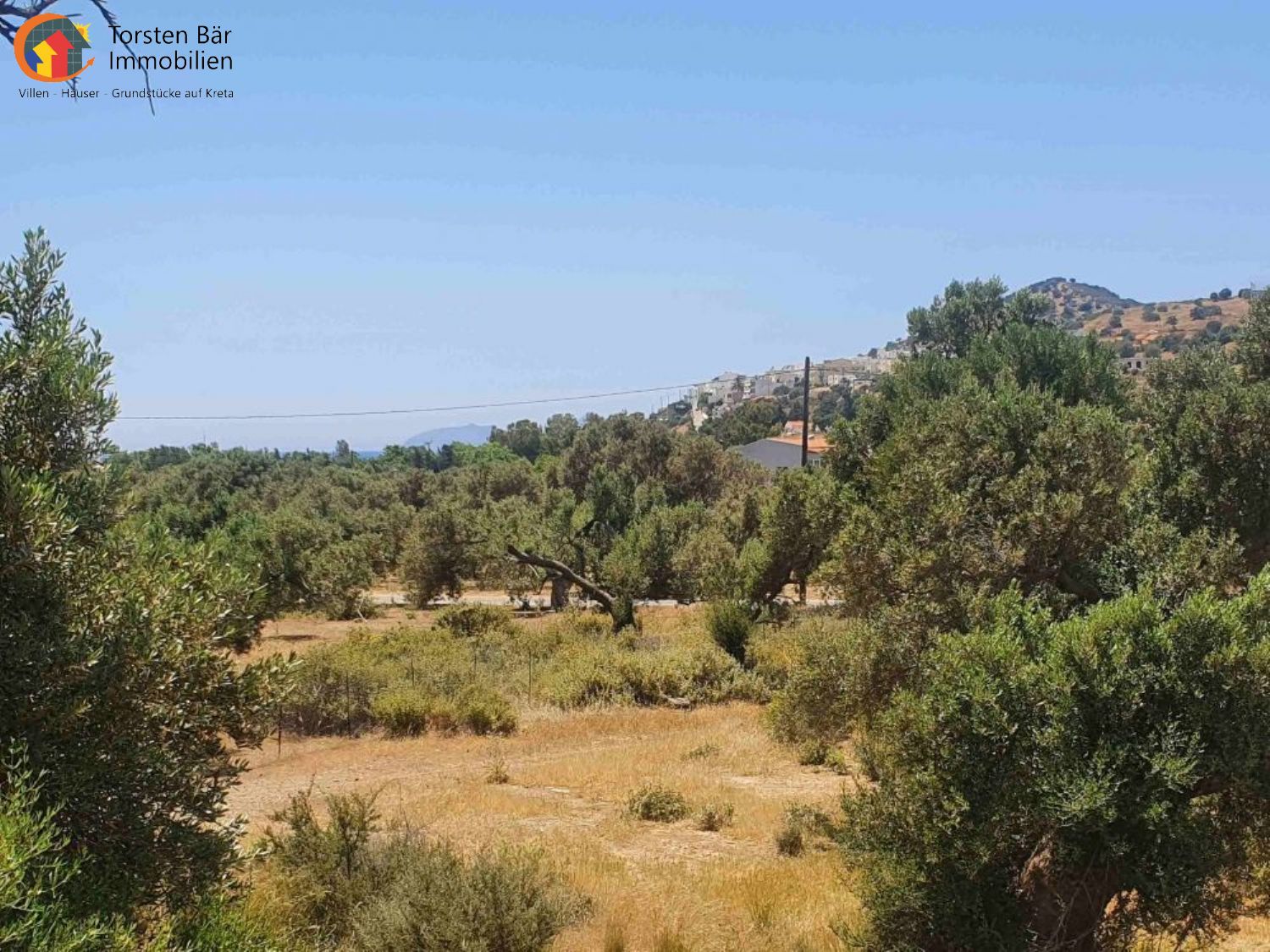 Foto der Immobilie (70871)