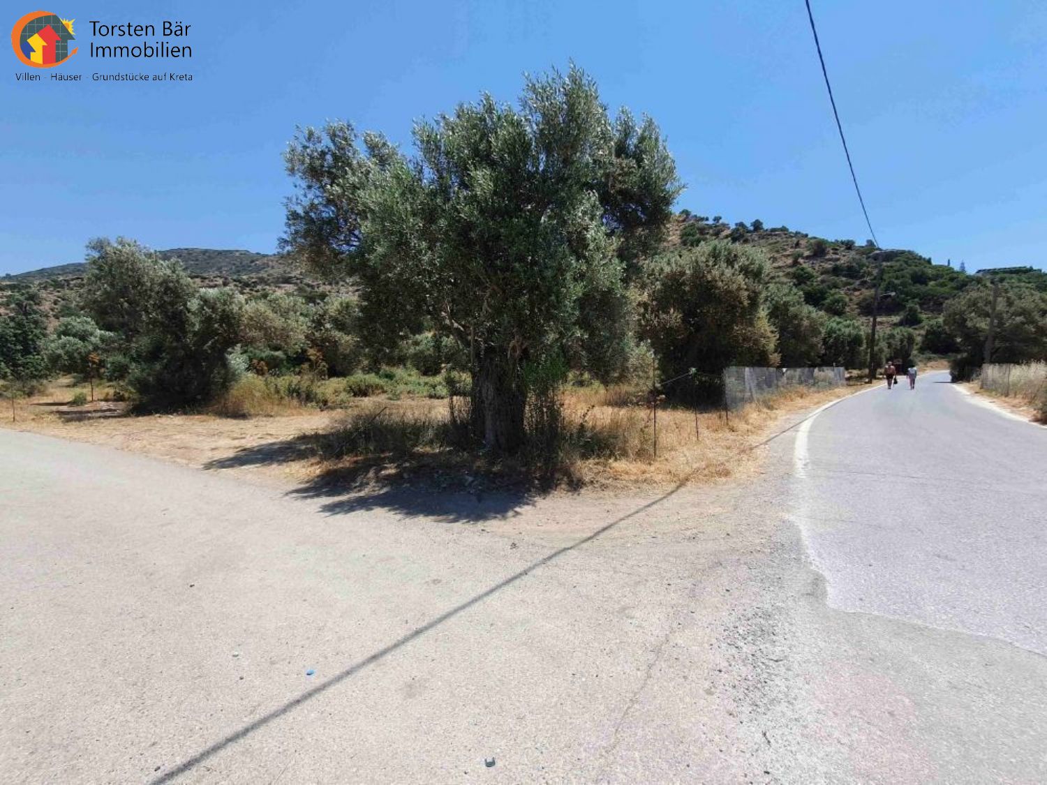 Foto der Immobilie (70873)