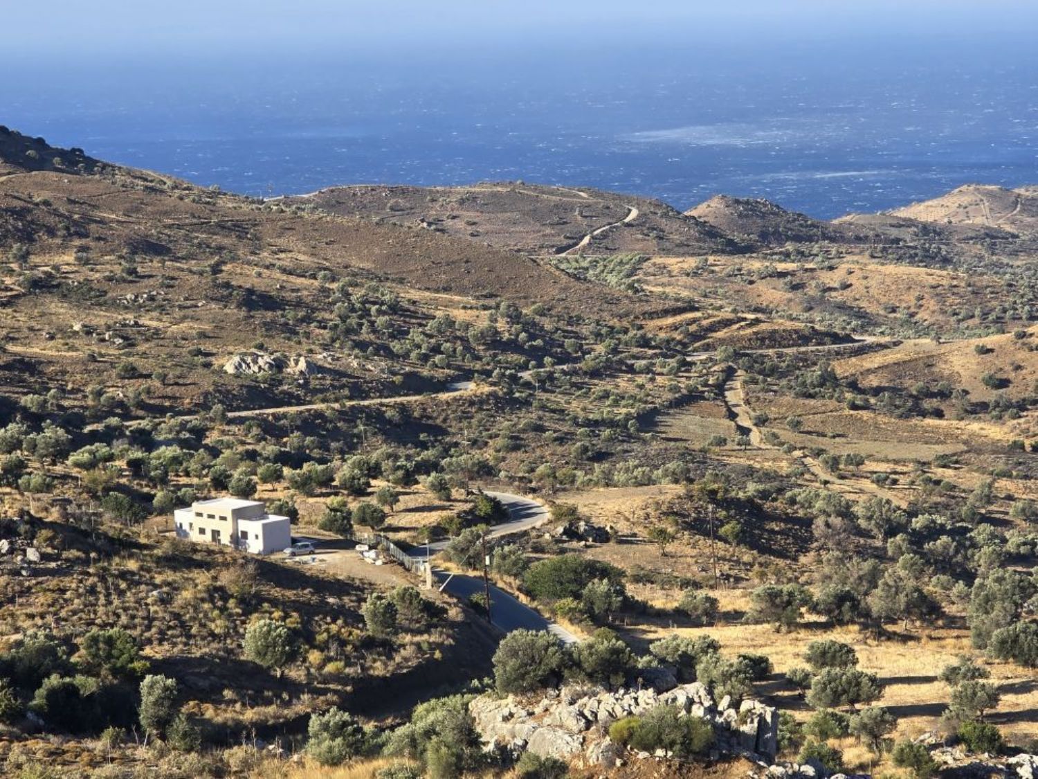 Foto der Immobilie (70904)