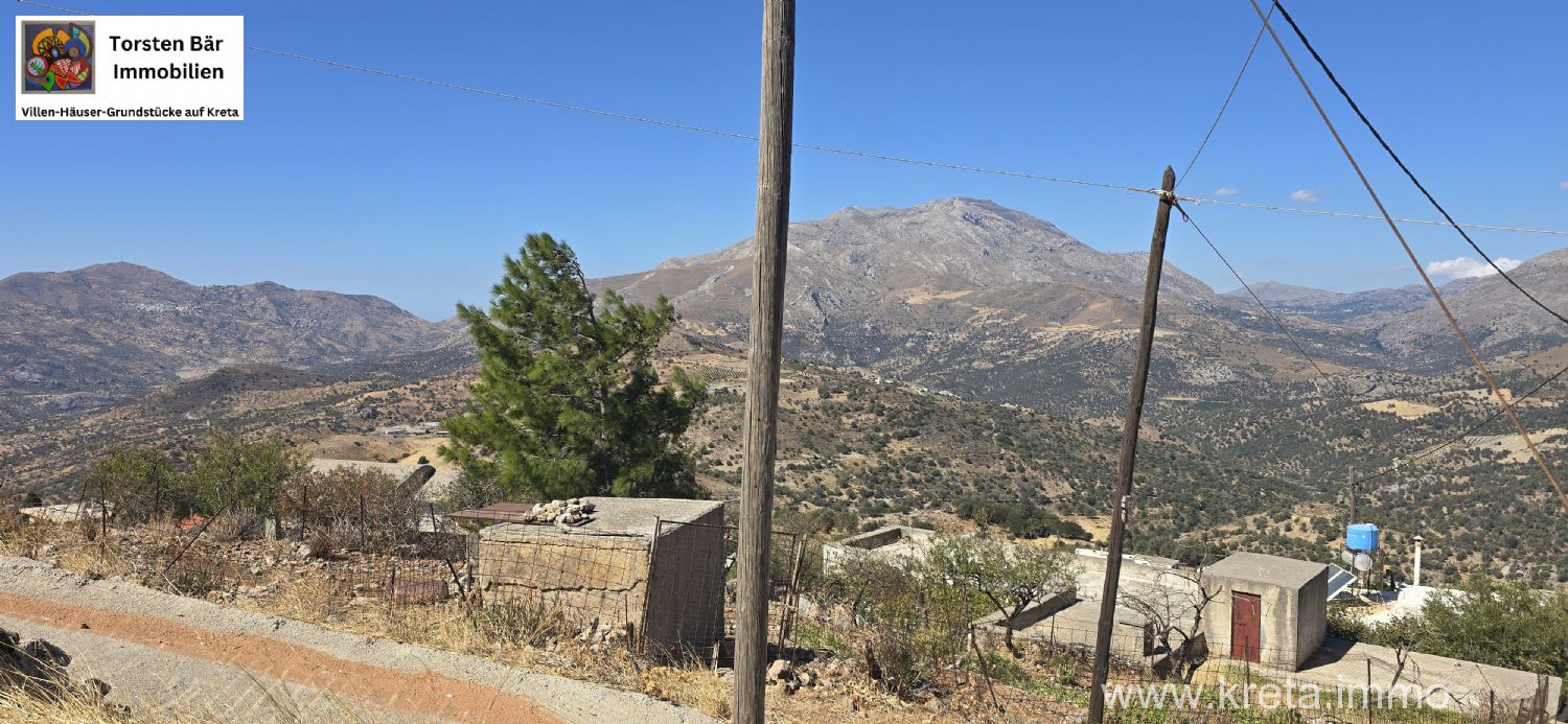 Foto der Immobilie (72869)