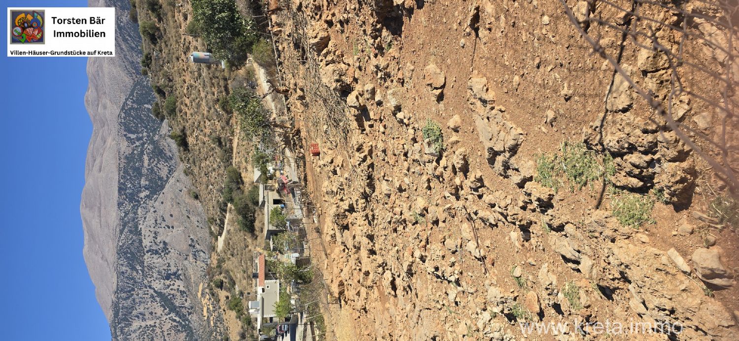 Foto der Immobilie (72873)