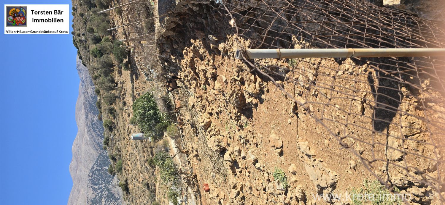 Foto der Immobilie (72874)