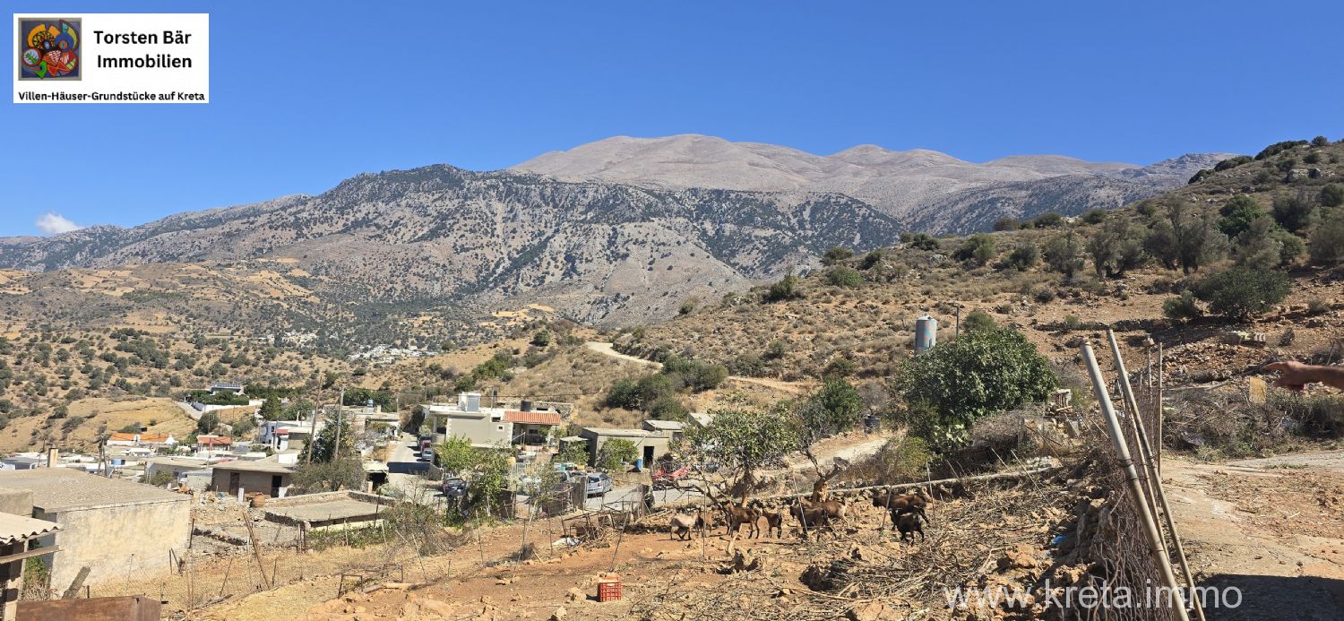 Foto der Immobilie (72875)