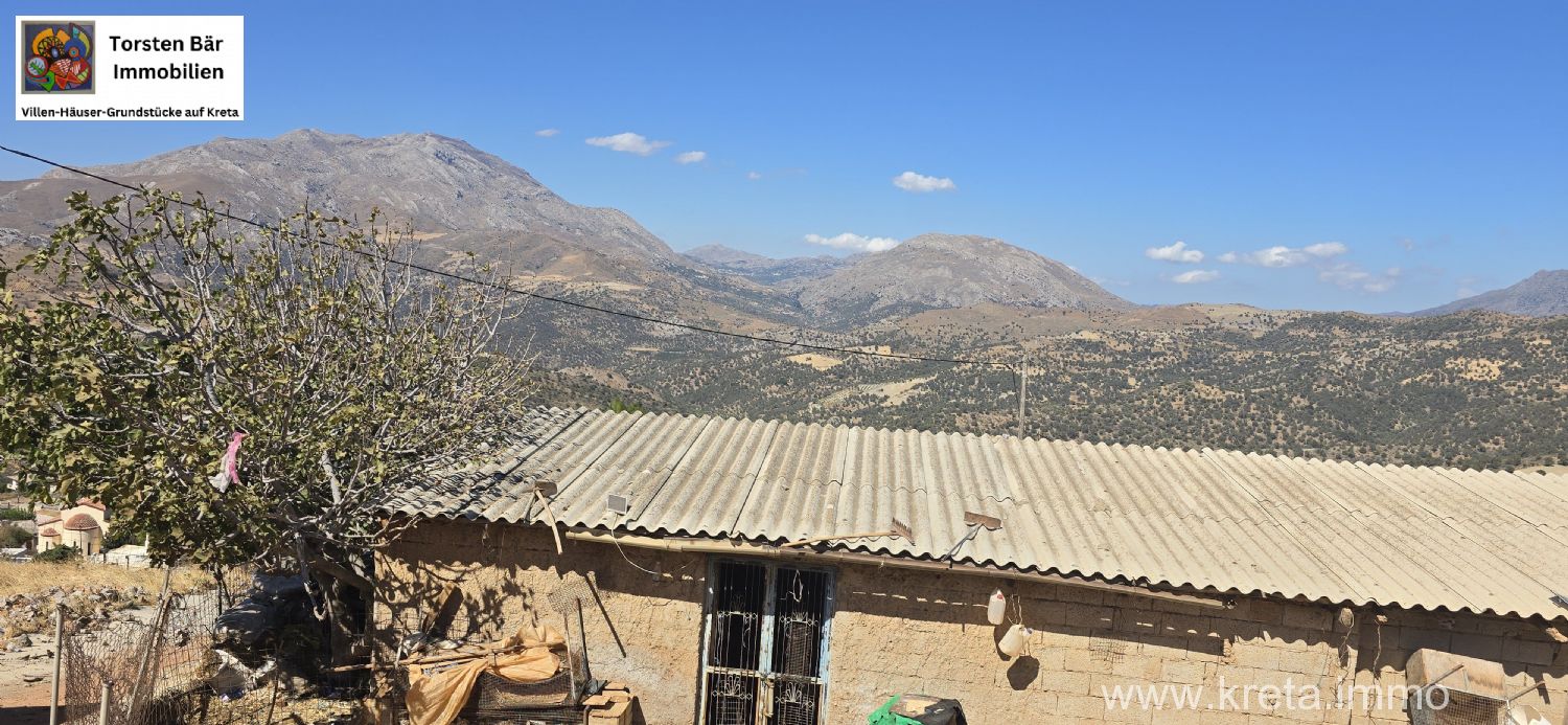 Foto der Immobilie (72876)