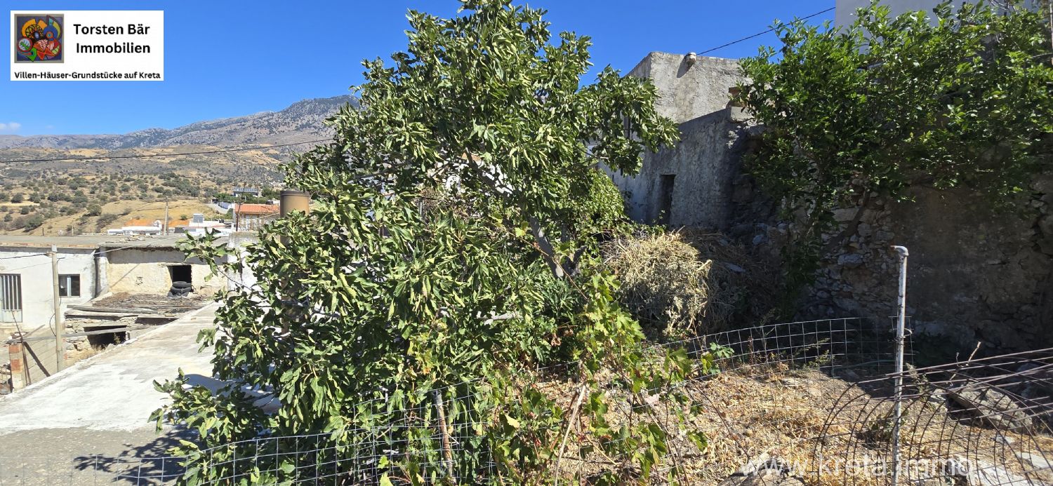 Foto der Immobilie (72881)